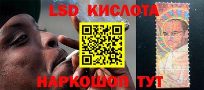 прущие грибы Обь